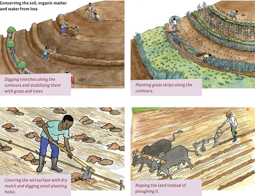 Illustration of soil conservation practices