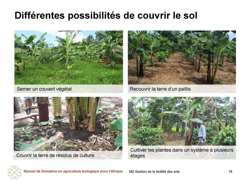 Organic Africa - Conservation des sols et de l’eau