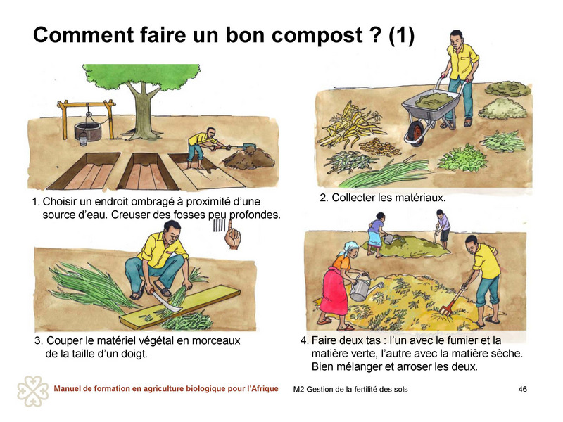 Engrais Vert Linsor Enrichissant En Nutriments, Mélange De Graines Engrais Verts Cours Pdf