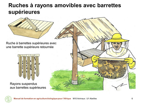 Ruches à rayons amovibles avec barrettes supérieures