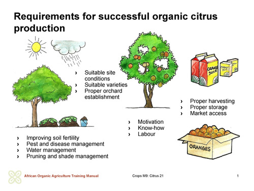 Requirements for successful organic citrus production