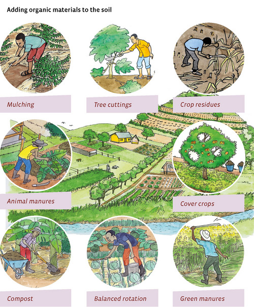 Illustration on how to add organic materials to the soil